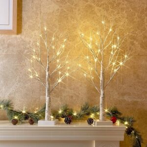 Christmas Decorations Indoor, 2 FT Birch Tree with LED Lights - Christmas Decorations